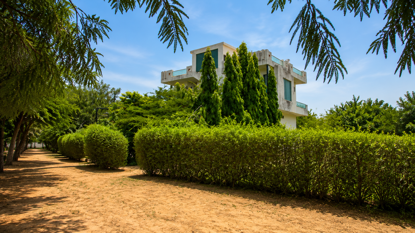 Garden